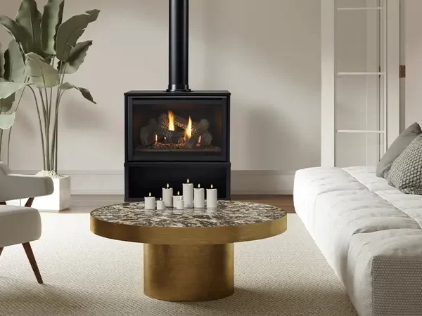 Foyer autoportant au Gaz de Heat & Glo