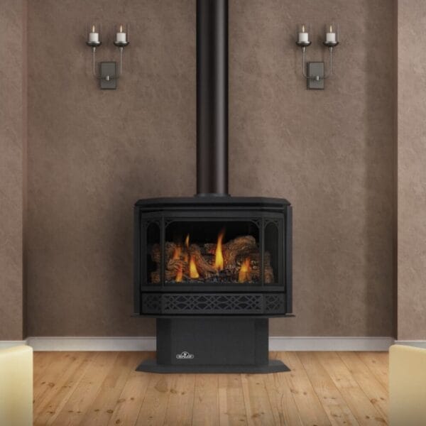 Poêle au Gaz Havelock Série Distinct de Napoleon