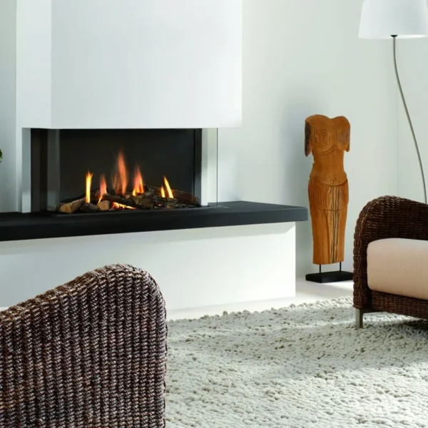 Foyer au Gaz en Bay Trisore 100 de Element 4