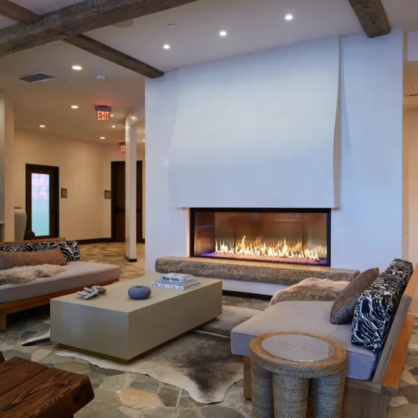 Foyer au Gaz Transparent Enlight de Stellar